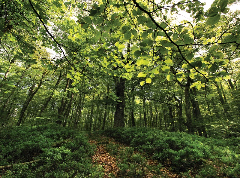 125_AlEncuentro_HayedosSaja